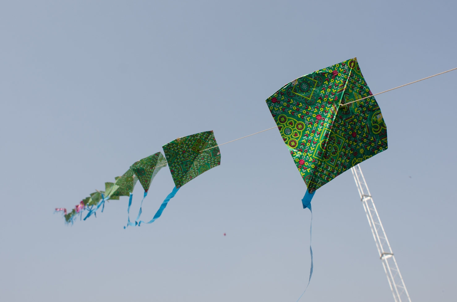 KITE FESTIVAL TO BE CELEBRATED ON 14 JANUARY IN JAIPUR